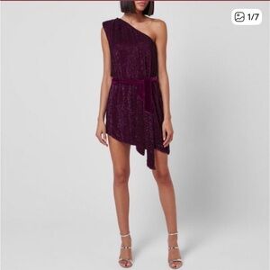 Retrofete Shimmering Magenta Dress